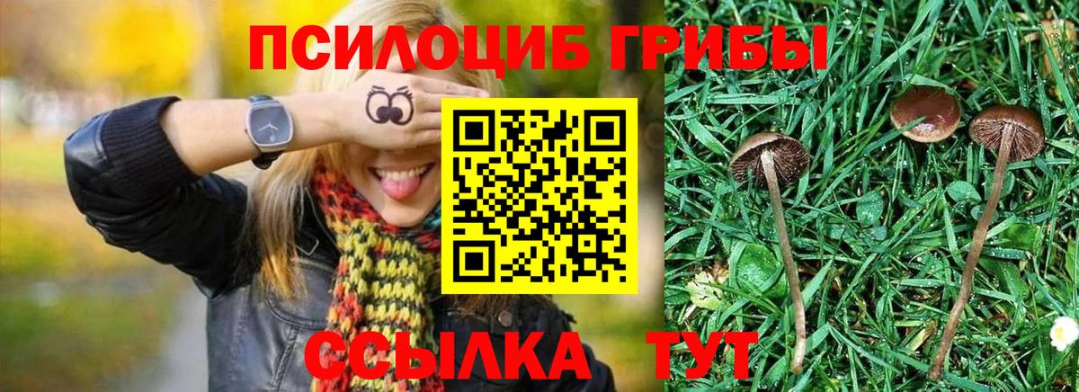 Псилоцибиновые грибы мухоморы  Вход с VPN  Псилоцибиновые грибы Psilocybine cubensis  Кизляр 