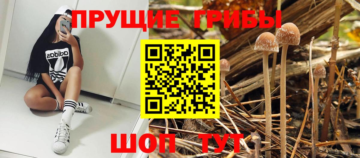 Галлюциногенные грибы Cubensis Кизляр