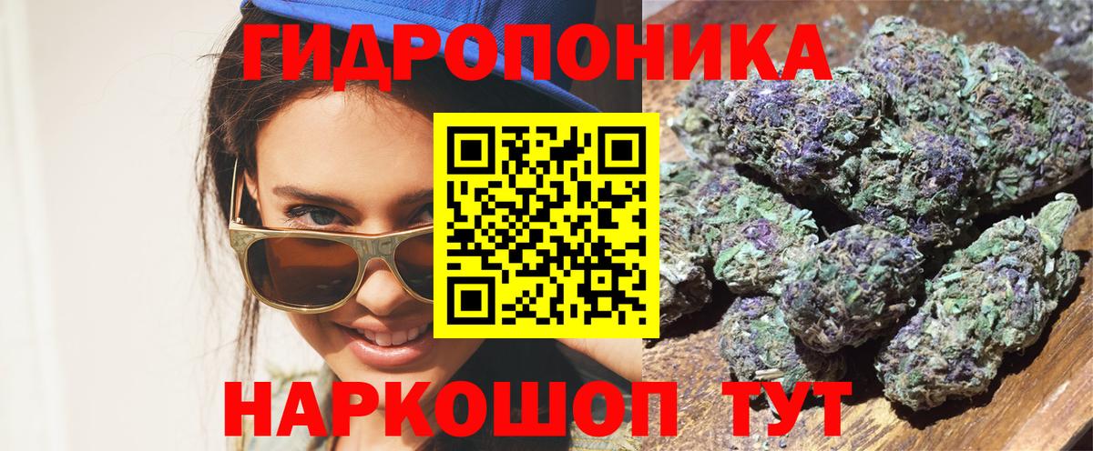 Шишки марихуана марихуана Кизляр